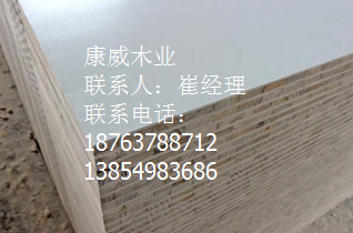 91麻豆亚洲国产成人久久精品